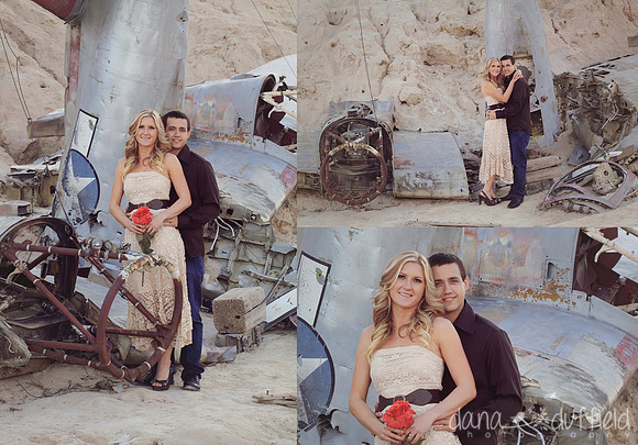 7-Planecrash-Ritchies-Engagement-Nelsons
